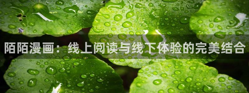 贝勒漫画巨人族的新娘：陌陌漫画：线上阅读与线下体验的完美结合